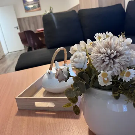 アパート Apartman Tremosna Třemošná