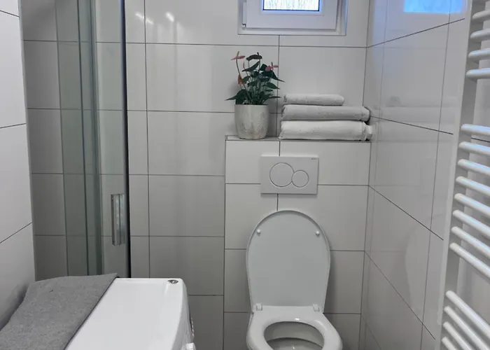 Апартаменты Apartman Tremosna