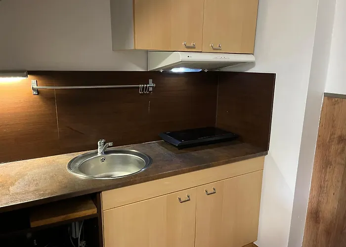 Apartman Tremosna Апартаменты Tremosna